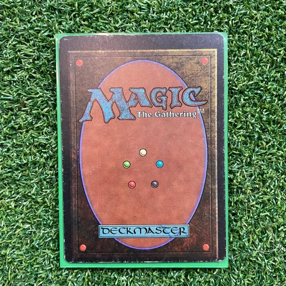 MTG Forest Christopher Rush Art Vintage Basic Land Magic Card LP